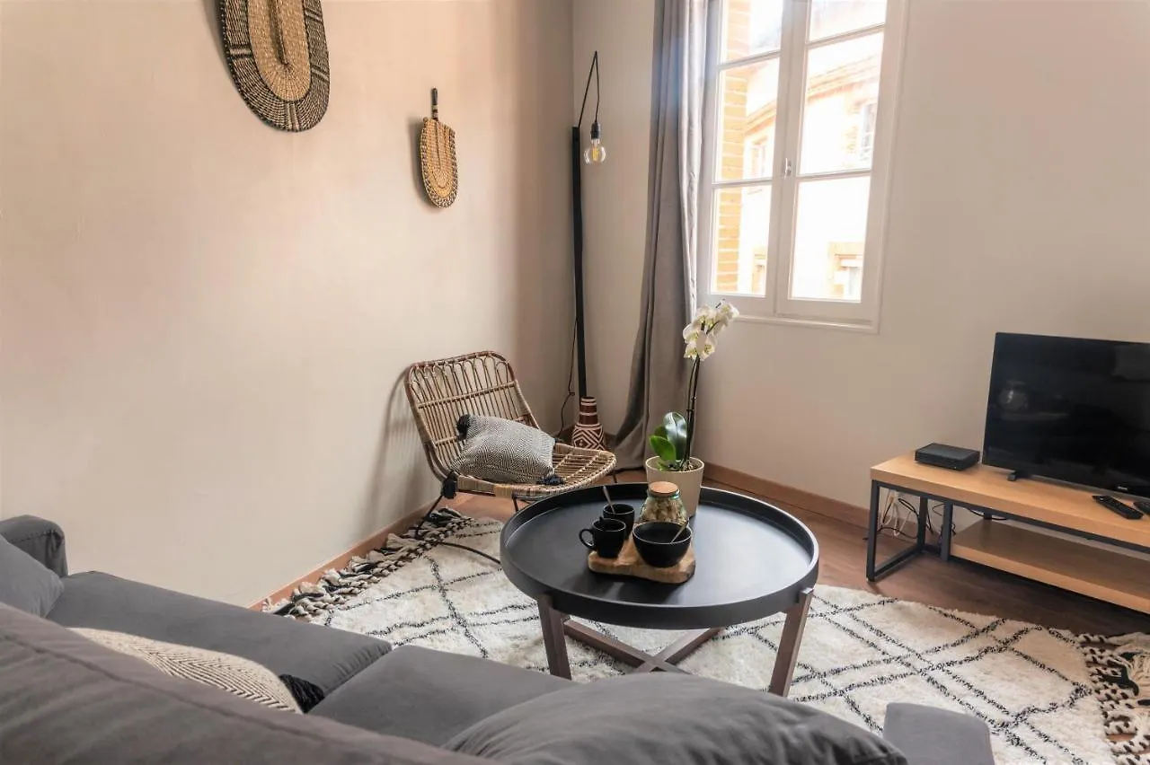 Le Cocon Des Puits Clos Toulouse Apartman